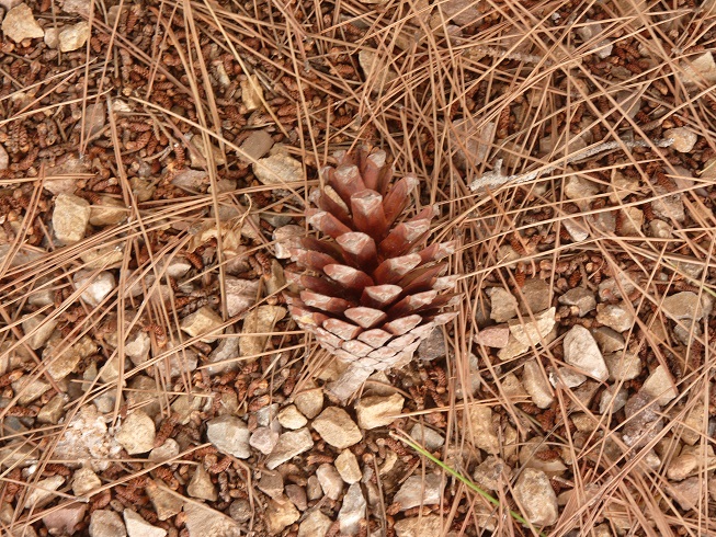No s'ha trobat l'arxiu